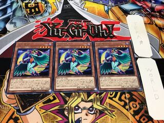 月光翠鳥 レア 3枚セット てら