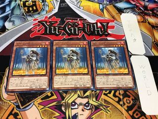不知火の隠者 レア 3枚セット てら