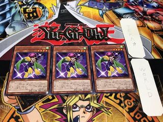 トゥーン・ハーピィ・レディ レア 3枚セット てら