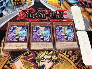 Delia, assistant of surprise paradise, rare, set of 3, Tera