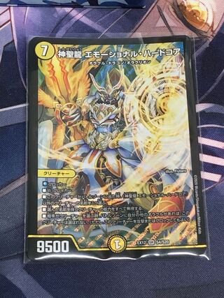 神聖龍 エモーショナル・ハードコア