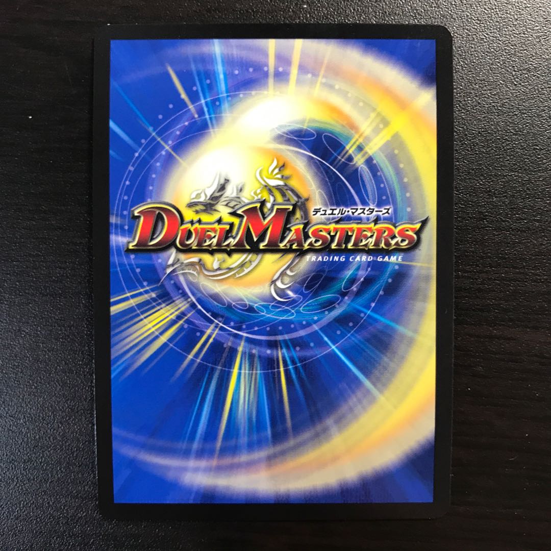 煌龍サッヴァーク