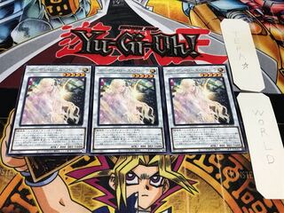 ガーデン・ローズ・フローラ レア 3枚セット てら