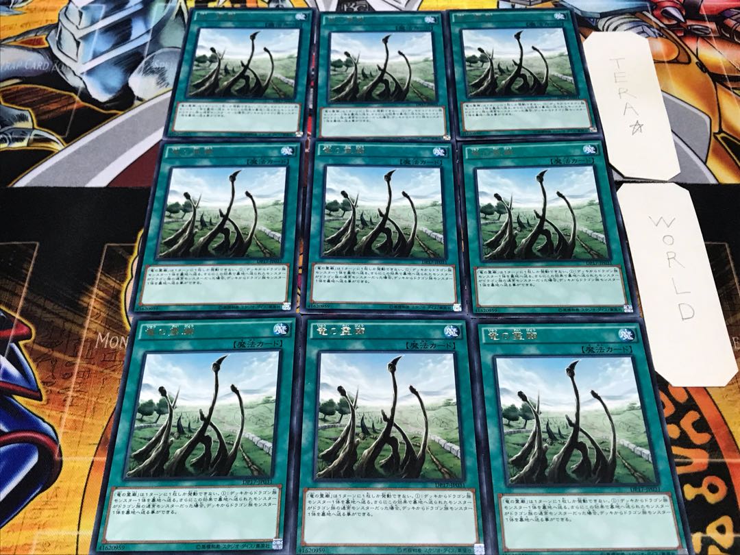 竜の霊廟 レア 9枚セット てら