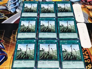 竜の霊廟 レア 9枚セット てら