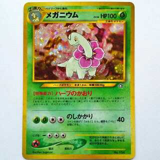 【計3点】メガニウム　進化系一式　旧裏