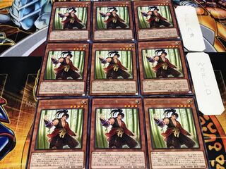 双天拳の熊羆 レア 9枚セット てら