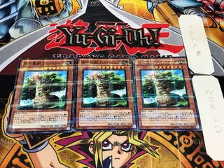 森の聖獣 アルパカリブ ノーマルパラレル 3枚セット てら