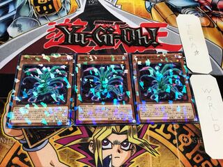 捕食植物セラセニアント ノーマルパラレル 3枚セット てら