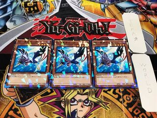 BF-東雲のコチ ノーマルパラレル 3枚セット てら