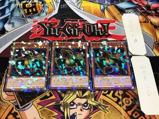 捕食植物プテロペンテス ノーマルパラレル 3枚セット てら