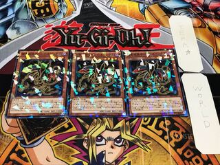 捕食植物モーレイ・ネペンテス ノーマルパラレル 3枚セット てら