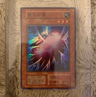 No.1253 Yu-Gi-Oh! Beautiful Early Cocoon of Evolution Super Rare