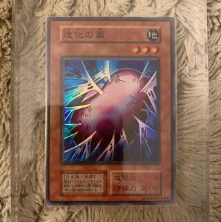 遊戯王 初期　進化の繭　　スーパーレア　未使用 美品 遊戯王 進化の繭 初期 スーパーレア 極美品の通販 さち