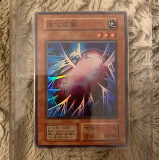 遊戯王 初期　進化の繭　　スーパーレア　未使用 美品 2025年最新】進化の繭 初期の人気アイテム - メルカリ