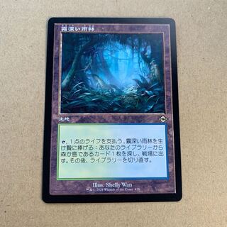 剣吉様専用　霧深い雨林　旧枠