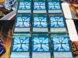 死者蘇生 ノーマルパラレル 9枚セット てら