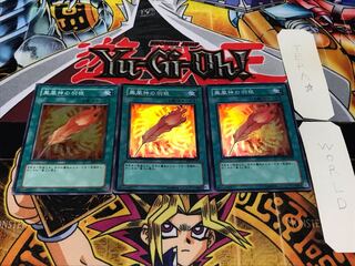 鳳凰神の羽根 スーパー 3枚セット てら