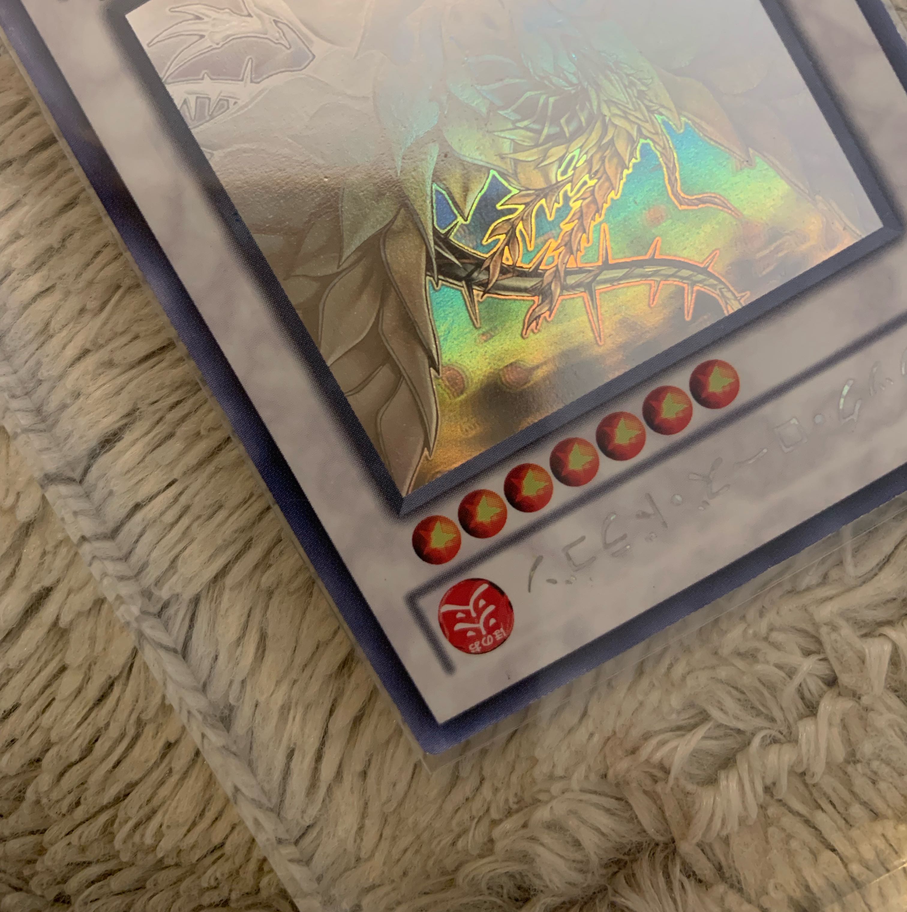 No.872遊戯王美品ブラックローズドラゴンホログラフィックCSOC-JP039