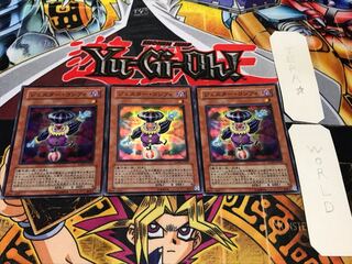 ジェスター・コンフィ スーパー 3枚セット てら