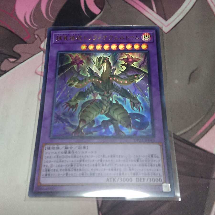 捕食植物トリフィオヴェルトゥム ウルトラレア