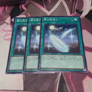 翼の恩返し ノーマル 3枚