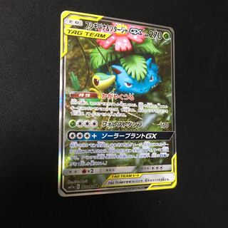 フシギバナ＆ツタージャGX SR