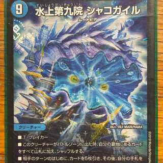 シャコガイル 1枚