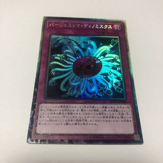 Paleozoic Dinomischus Collector's Rare JP046