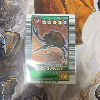 Insect King Elephas Elephas Elephant Kabuto