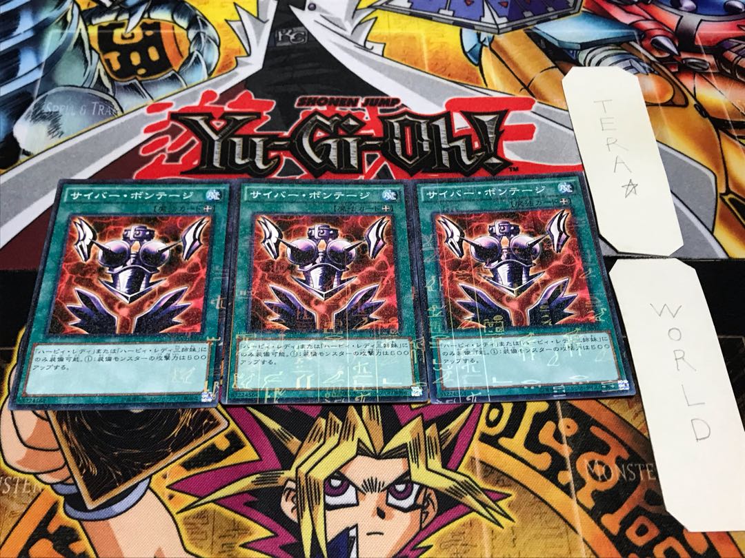 サイバー・ボンテージ ミレニアム 3枚セット てら