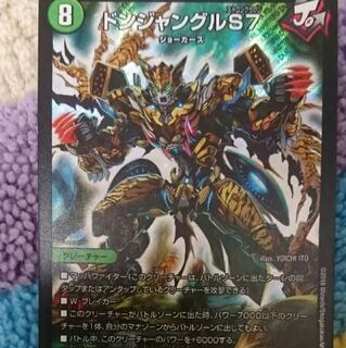 ドンジャングルS7 1枚