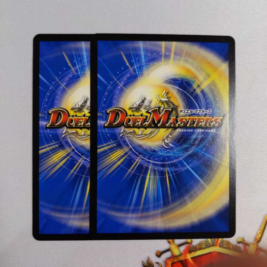 罪無 ジョイダム垓 2枚