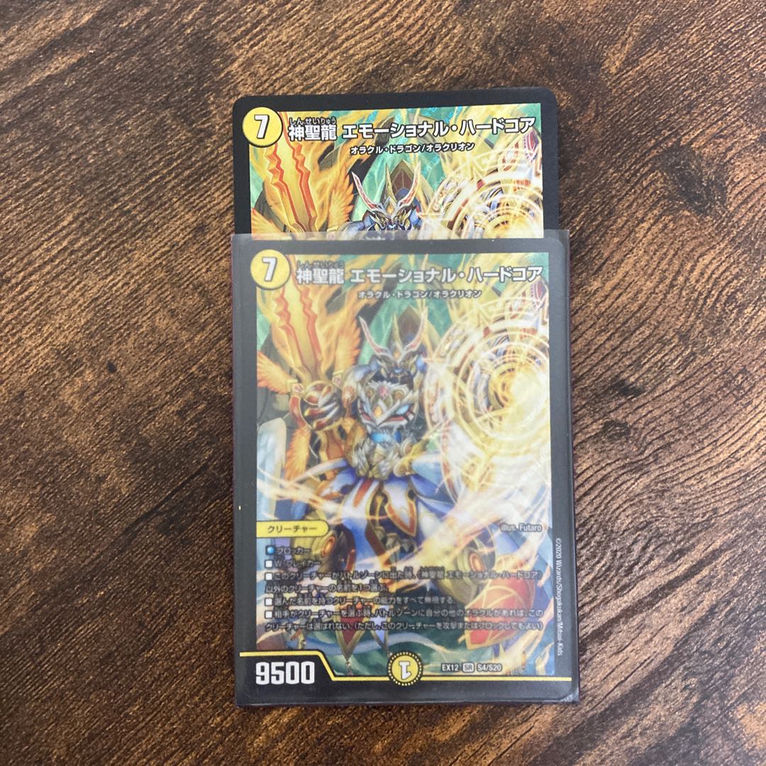 神聖龍 エモーショナル・ハードコア