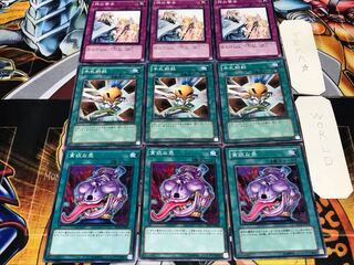 貪欲な壺 手札断殺 神の警告 ノーマル 各3枚セット まとめ