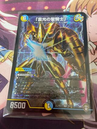 「雷光の聖騎士」