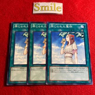 禁じられた聖杯#1353