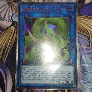 捕食植物ヴェルテ・アナコンダ ウルトラレア