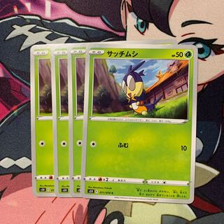 サッチムシ4枚セット