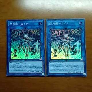 閃刀姫カイナ2枚 2枚