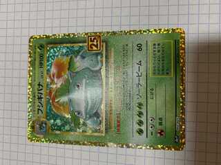 フシギバナ　25th