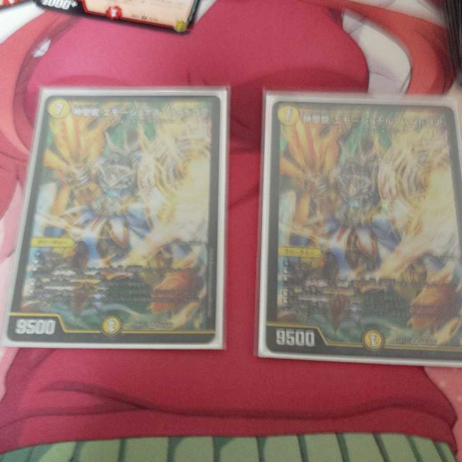 神聖龍 エモーショナル・ハードコア 二枚