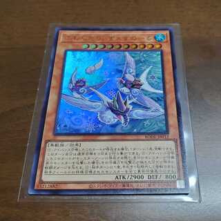 ふわんだりぃず×すのーる&えんぺん(おまけ付き)