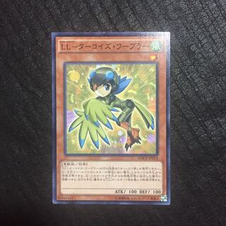 LL-Turquoise Warbler