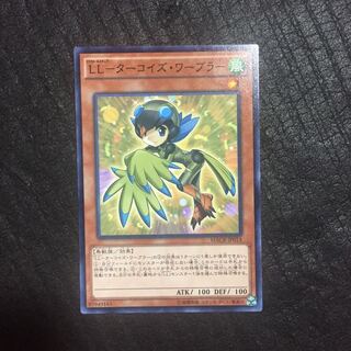 LL-Turquoise Warbler