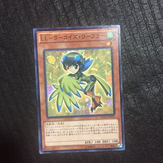 LL-Turquoise Warbler