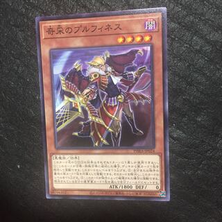 Prufinesse, the Tactical Trapper