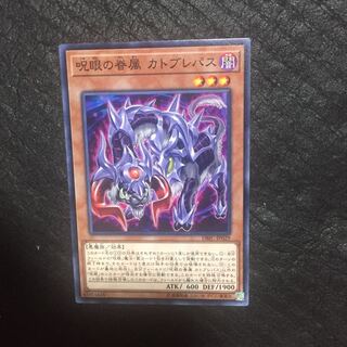 Catoblepas, Familiar of the Evil Eye