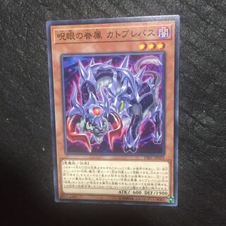 Catoblepas, Familiar of the Evil Eye