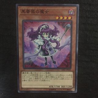 Witch of the Black Rose